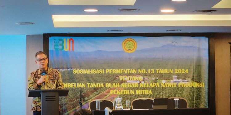 Perkuat Regulasi, Pemerintah Pastikan Harga TBS Tidak Merugikan Pekebun