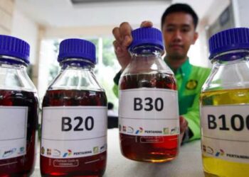 Harga Biodiesel Desember 2024 Naik Menjadi Rp14.389 per Liter