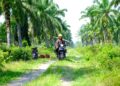 Wilmar Targetkan 11.700 Petani Swadaya Raih Sertifikasi ISPO