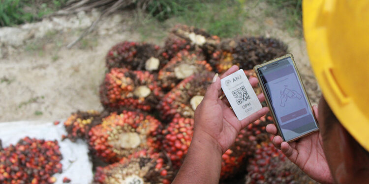 Digital Twin, Inovasi Tingkatkan Produksi Kelapa Sawit