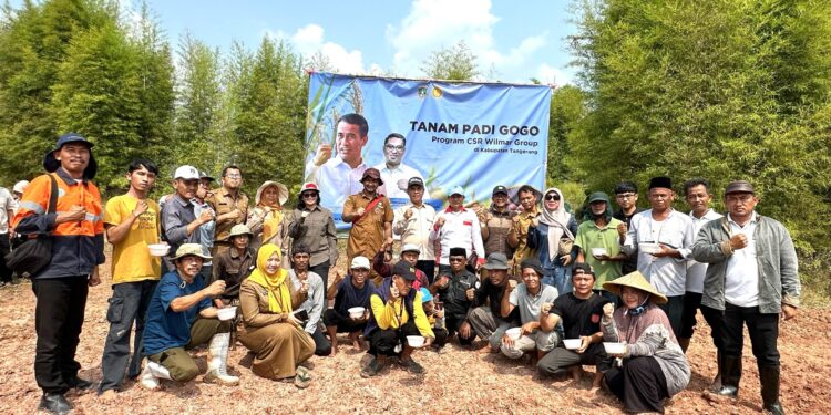 Wilmar Tanam Padi Gogo Seluas 45 Hektare di Banten