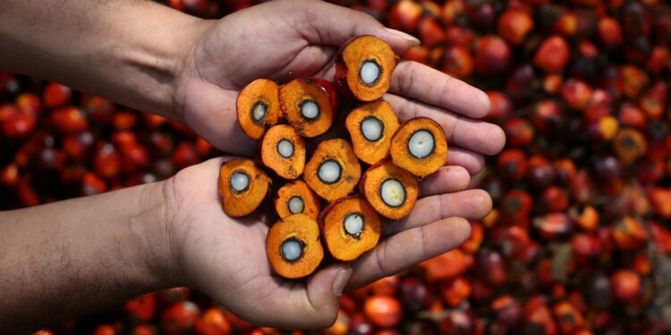 Harga Referensi CPO Mei 2025 Turun 3,86 Persen