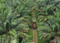 Teladan Prima Agro Raup Laba Bersih Rp829,3 Miliar