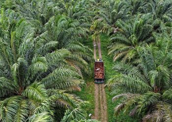 Teladan Prima Agro Raup Laba Bersih Rp829,3 Miliar
