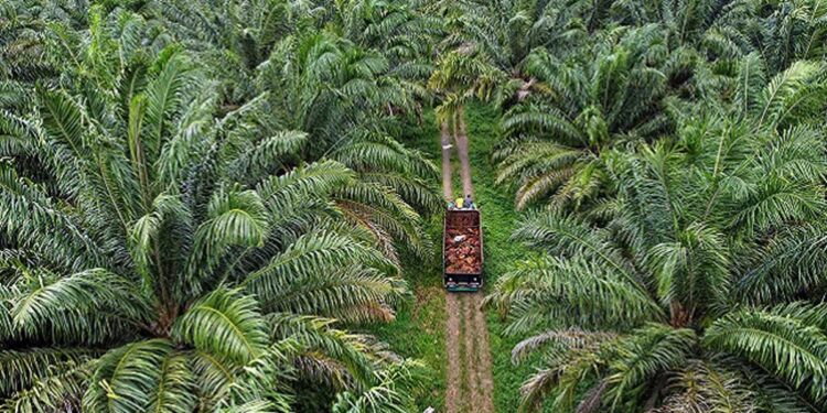 Teladan Prima Agro Raup Laba Bersih Rp829,3 Miliar