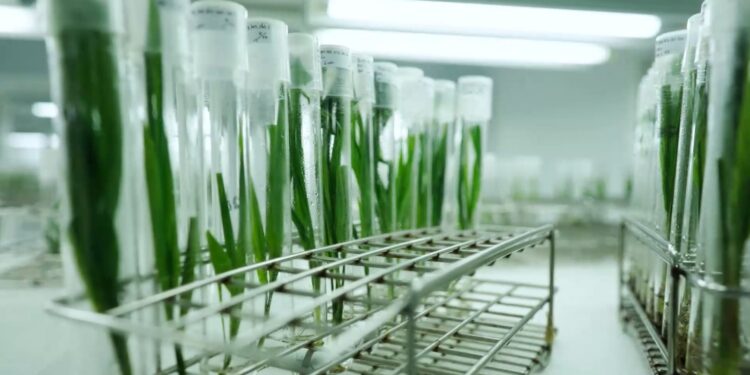 Astra Agro Perkuat Produktivitas Sawit Lewat Teknologi dan Riset Terpadu