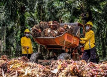 Tekan Emisi arbon, Astra Agro Gunakan Digitalisasi dan Tentara Serangga Pengendali Hama