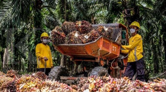Tekan Emisi arbon, Astra Agro Gunakan Digitalisasi dan Tentara Serangga Pengendali Hama