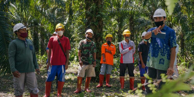 Sebanyak 1.222 Petani Binaan Binaan PalmCo Raih Sertifikasi RSPO