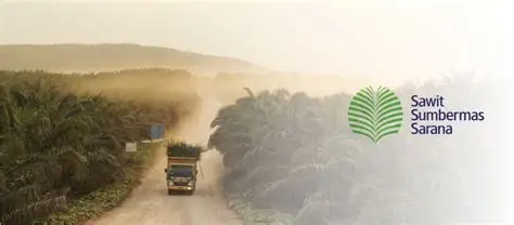 Sawit Sumbermas Sarana Raih Kredit Senilai Rp5,2 Triliun