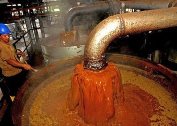 Harga CPO Jatuh di Awal Januari 2026