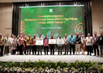 Tahun Ini BPDP Targetkan Peremajaan Sawit Rakyat 50.000 Hektare