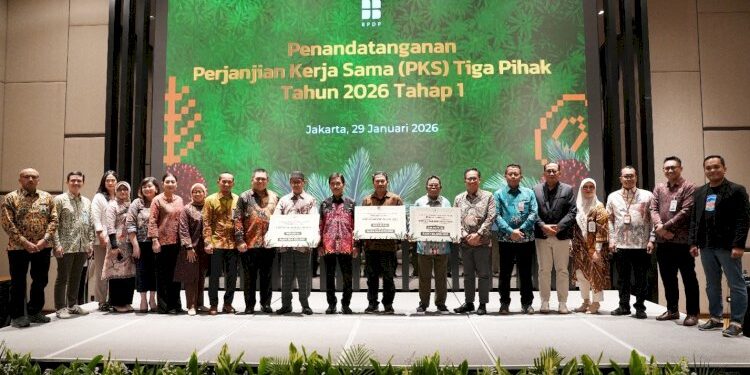 Tahun Ini BPDP Targetkan Peremajaan Sawit Rakyat 50.000 Hektare