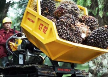 Fastrex IPB Bisa Angkut 15 Ton TBS per Hari, Setara 7 Orang