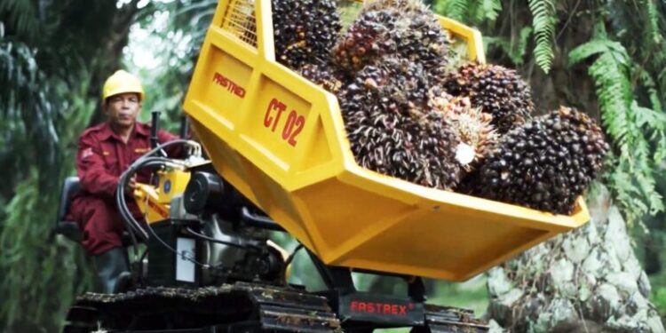 Fastrex IPB Bisa Angkut 15 Ton TBS per Hari, Setara 7 Orang