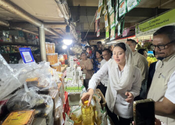 Wamendag Pastikan Harga Minyakita Sesuai HET Jelang Lebaran