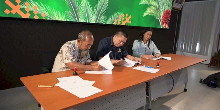 BPDP Dukung Peremajaan Sawit Rakyat 1.541,7 Hektare