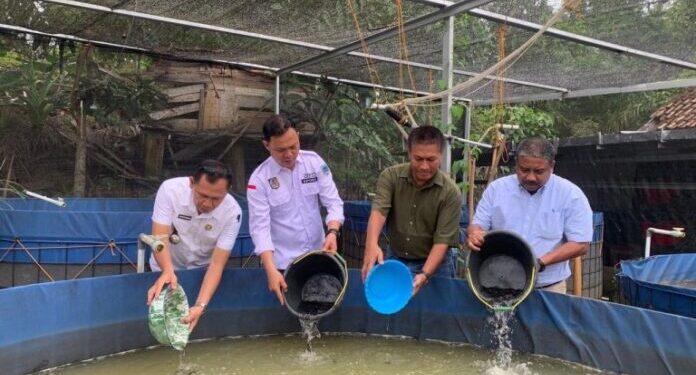 Sinar Mas Dorong Kemandirian Desa Lewat Budidaya Lele Berbasis Teknologi