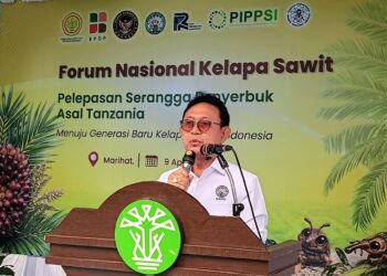 Serangga Penyerbuk dari Tanzania Dilepas, Harapan Baru untuk Masa Depan Sawit Indonesia