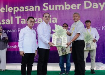 Investasi Jangka Panjang Kementan! Bibit Sawit Tanzania Siap Guncang Produktivitas Nasional