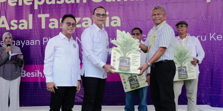 Investasi Jangka Panjang Kementan! Bibit Sawit Tanzania Siap Guncang Produktivitas Nasional