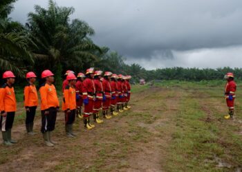 Antisipasi Karhutla, Kementan Inspeksi Kesiapan Perusahaan Sawit