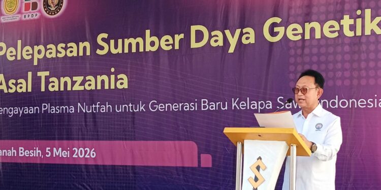 Indonesia Perkaya Genetik Sawit, SDG Asal Tanzania Resmi Dilepas di Sumut