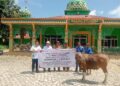 Minamas Plantation Donasikan 120 Ekor Sapi Kurban dan 3000 Paket Sembako