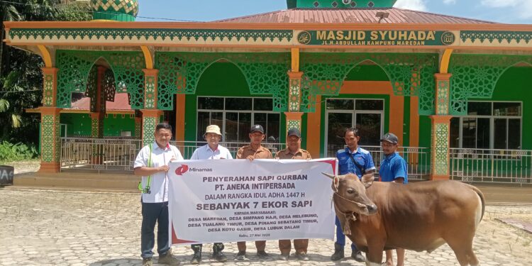 Minamas Plantation Donasikan 120 Ekor Sapi Kurban dan 3000 Paket Sembako