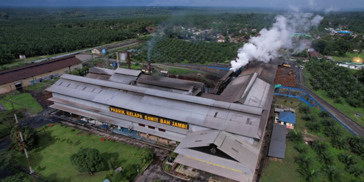 Pabrik Kelapa Sawit PalmCo Raih Proper Hijau, Dorong Transisi Energi dan Efisiensi