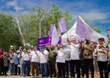 Perkuat Produktivitas, BPDP Dukung Pelepasan Bibit Sawit Unggul Asal Tanzania
