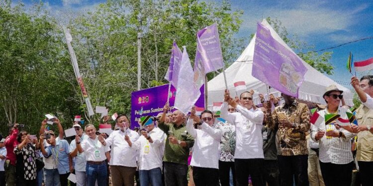 Perkuat Produktivitas, BPDP Dukung Pelepasan Bibit Sawit Unggul Asal Tanzania