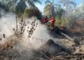 Manggala Agni Kemenhut Gerak Cepat Gempur Karhutla di Riau