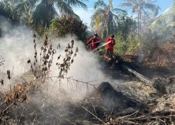 Manggala Agni Kemenhut Gerak Cepat Gempur Karhutla di Riau