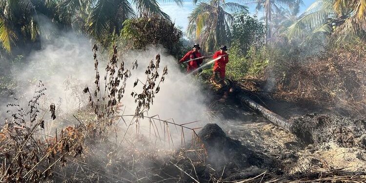 Manggala Agni Kemenhut Gerak Cepat Gempur Karhutla di Riau