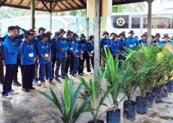 106 Pekebun Sawit Muara Enim Ikuti Pelatihan Berbasis Praktik Budidaya Sawit