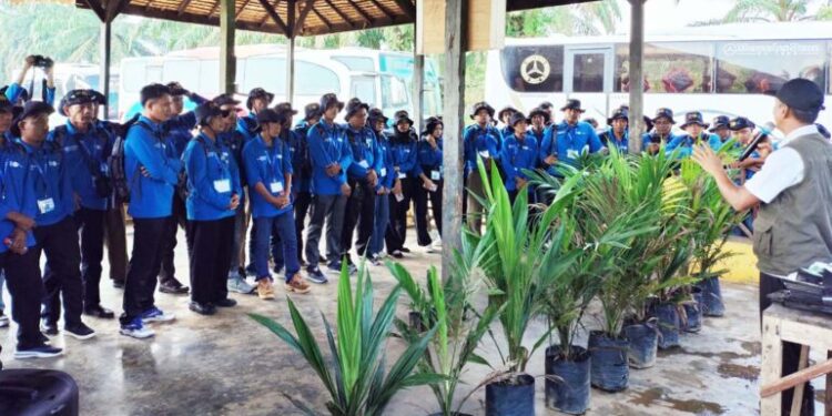 106 Pekebun Sawit Muara Enim Ikuti Pelatihan Berbasis Praktik Budidaya Sawit