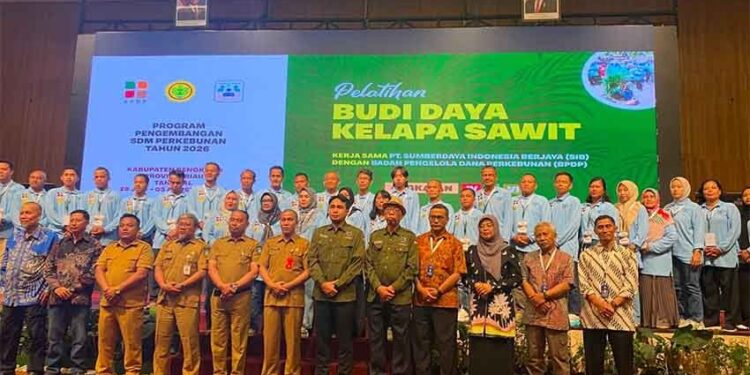 BPDP Bersama Ditjenbun dan PT SIB Gelar Pelatihan Budidaya Sawit Pekebun Bengkalis Riau