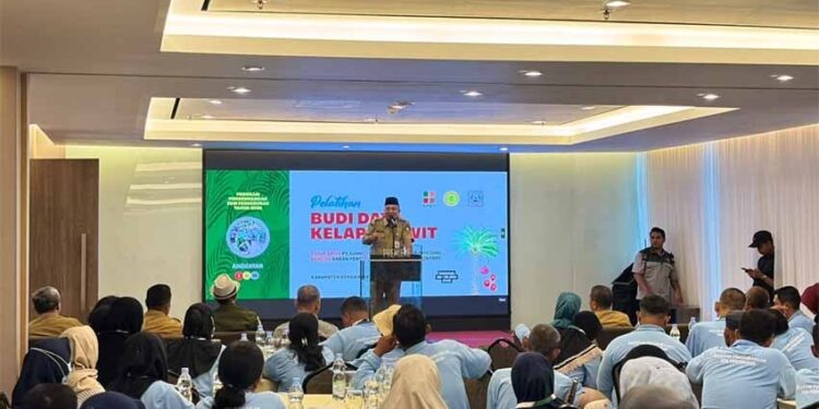 Pacu Produktivitas dan Kompetensi, BPDP, Ditjenbun dan PT SIB Gelar Pelatihan Budidaya Sawit Pekebun Bengkalis Riau