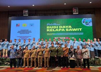 Antusias Pekebun Tinggi, Kuota Pelatihan Sawit BPDP untuk Bengkalis Perlu Ditambah