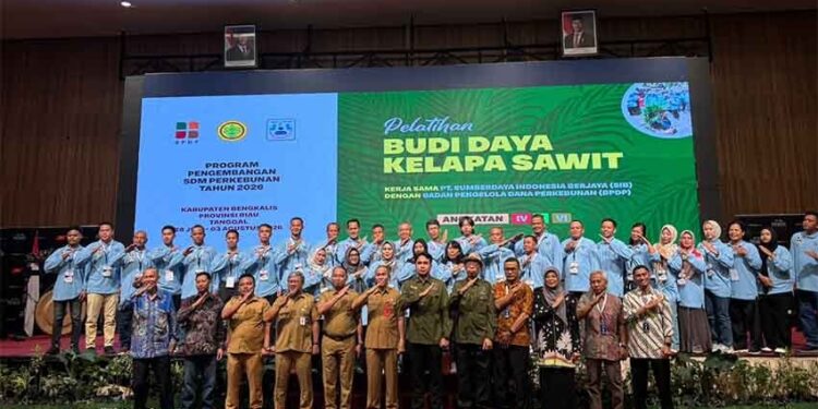 Antusias Pekebun Tinggi, Kuota Pelatihan Sawit BPDP untuk Bengkalis Perlu Ditambah