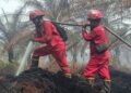 Manggala Agni Kemenhut Padamkan Kebakaran Hutan dan Lahan di Aceh