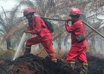 Manggala Agni Kemenhut Padamkan Kebakaran Hutan dan Lahan di Aceh
