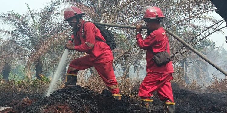 Manggala Agni Kemenhut Padamkan Kebakaran Hutan dan Lahan di Aceh
