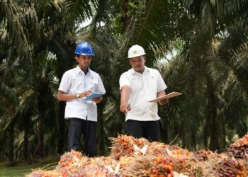 Bangun SDM Unggul, PalmCo Targetkan 5.120 Sertifikasi Kompetensi