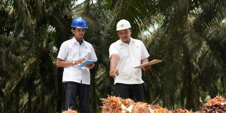 Bangun SDM Unggul, PalmCo Targetkan 5.120 Sertifikasi Kompetensi