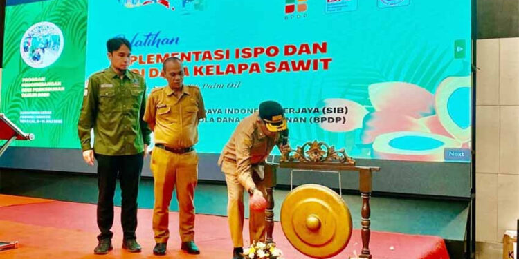 Banten Percepat Penguatan SDM Pekebun Sawit Lewat Pelatihan Pekebun
