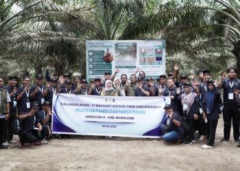 Tingkatkan Produktivitas, BPDP, Ditjenbun dan PT RPN Bekali Pekebun Muara Enim Kuasai Teknik Panen Sawit