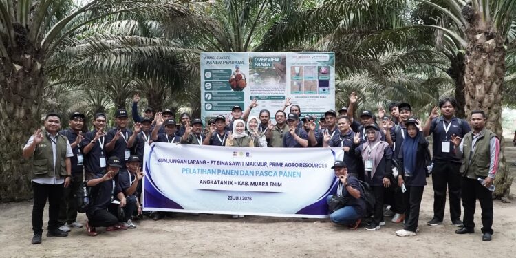 Tingkatkan Produktivitas, BPDP, Ditjenbun dan PT RPN Bekali Pekebun Muara Enim Kuasai Teknik Panen Sawit