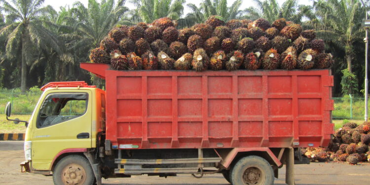 Semester I 2026, DSNG Catat Laba Bersih Rp985,88 Miliar
